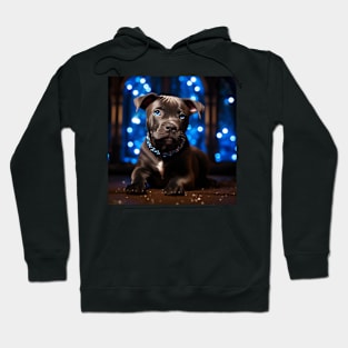 Sparkling Pitty Hoodie